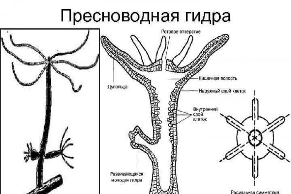 Кракен мониторинг ссылок kraken torion