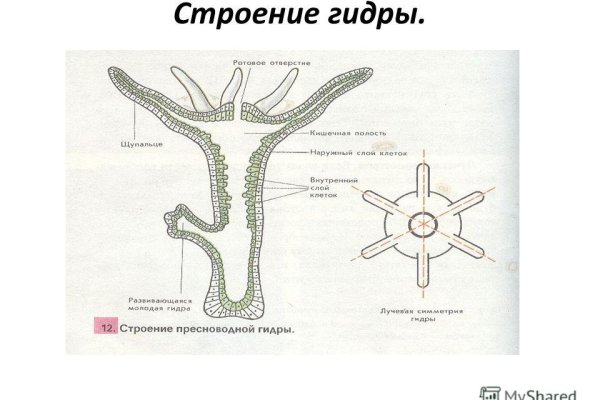 Кракен сайт как выглядит