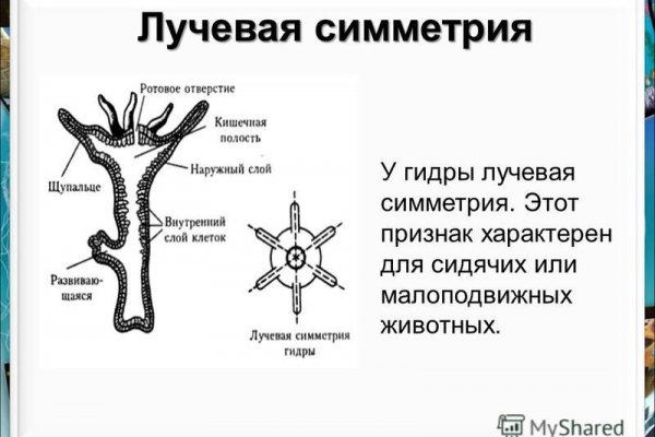 Зеркала сайта кракен tor