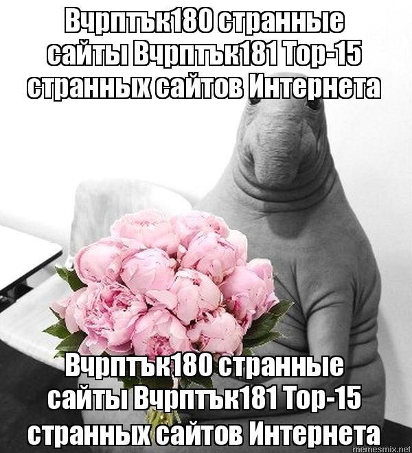 Как пополнять кракен тор